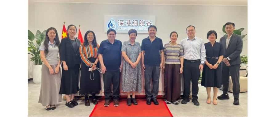 国家开展改革委国际合作中心领导一行调研深港K8凯发(中国)