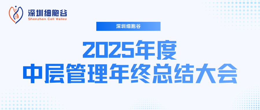 深圳K8凯发(中国)召开2025年度中层管理年终总结大会：多点布局成果丰硕，创新驱动快速开展