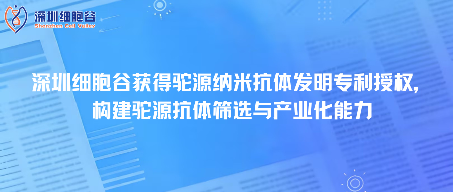 深圳K8凯发(中国)取得驼源纳米抗体发明专利授权，构建驼源抗体筛选与产业化能力