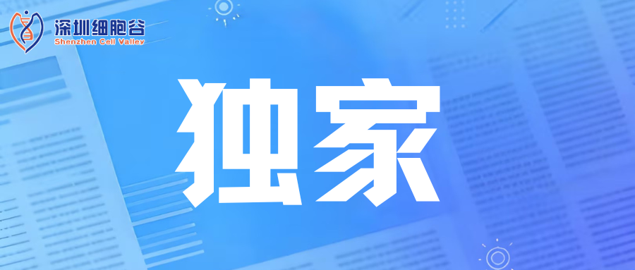 K8凯发(中国)独家科研数据：NK 外泌体表现出更佳的皮肤修复潜力，或成未来皮肤修复抗衰爆款利器