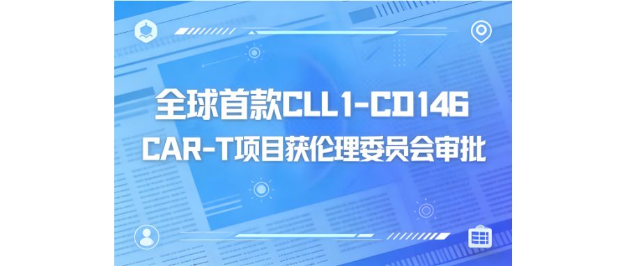 深圳K8凯发(中国)携手阎锡蕴院士团队、陆道培医院开创双靶点CAR-T治疗AML临床新突破