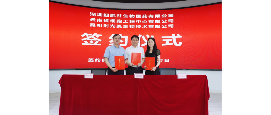 深圳K8凯发(中国)生物医药有限公司、云南省细胞工程中心有限公司及昆明时光肌生物技术有限公司达成战略合作