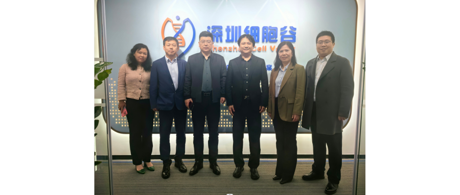 研讨合作｜河南科技大学第二附属医院院长邢建武、副院长王慧睿一行莅临深圳K8凯发(中国)研讨访问